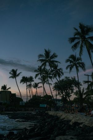People sitting on Hawaiian beach at sunset