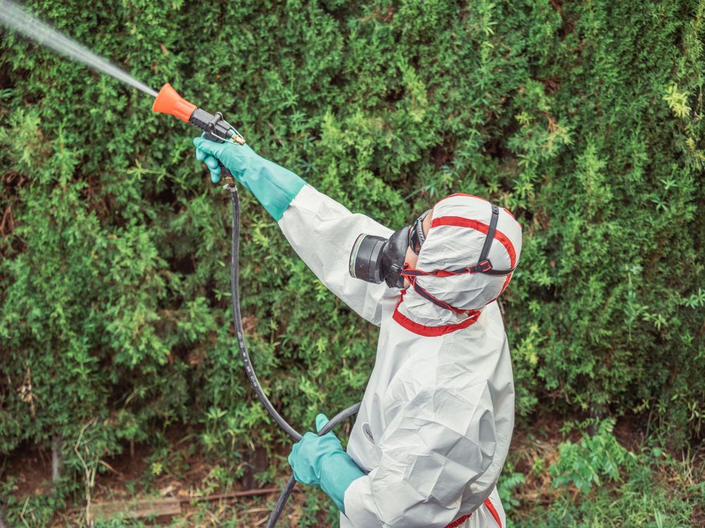 Fumigator in uniform spraying substance on garden