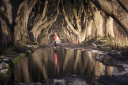 Woman on beech trees tunnel in winter day