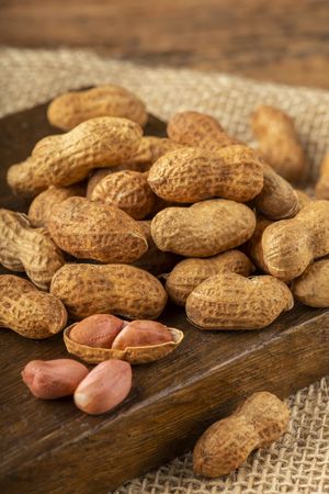 Dry peanut on the wooden background.
