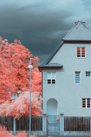 Infrared trees near suburban houses