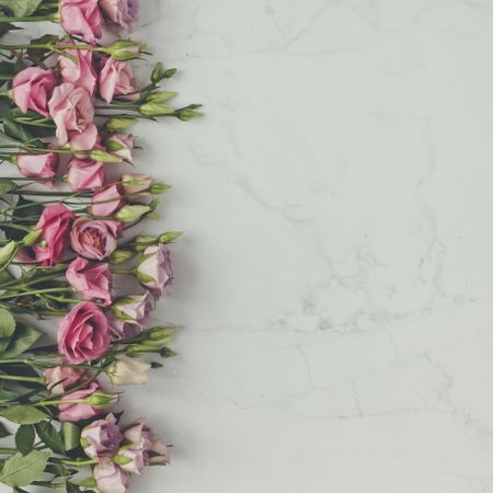 Pink flowers and leaves bordering marble background