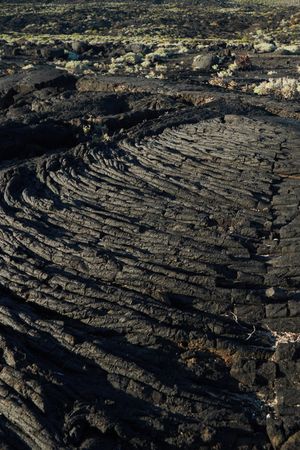 Texture of rough stone