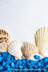 Sea shells and blue rocks as a summer background 5RVMgB