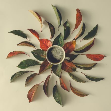 Autumn leaves and coffee cup on light table