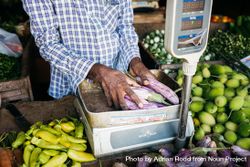 Vendor weighing fresh vegetables at Sri Lankan market bYaW9b