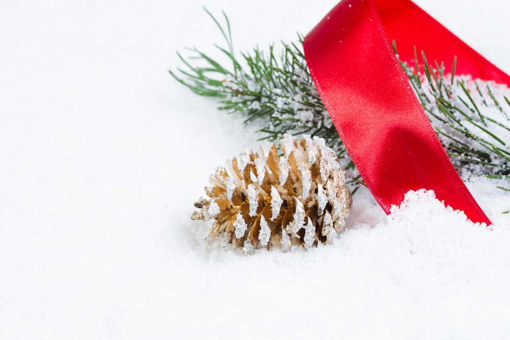 Christmas objects on snow