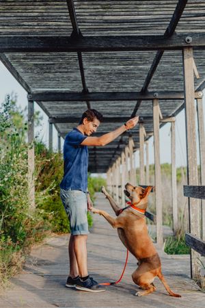 Happy adult man playing with dog at countryside