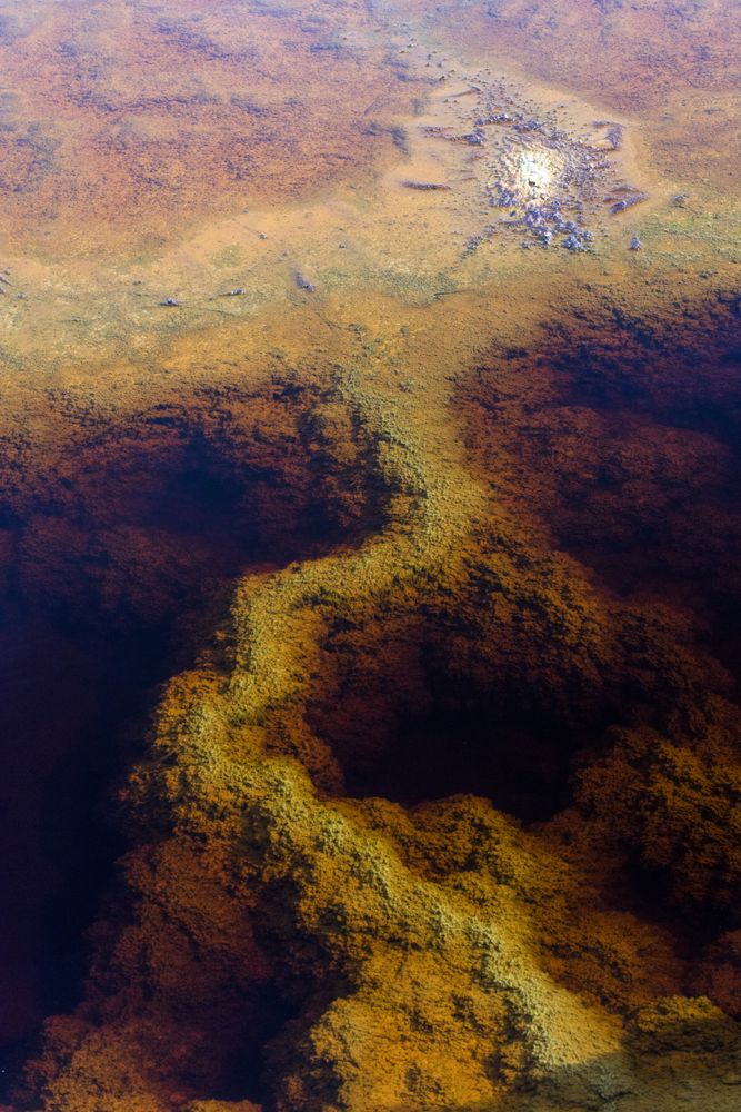 Green surface of mineral river