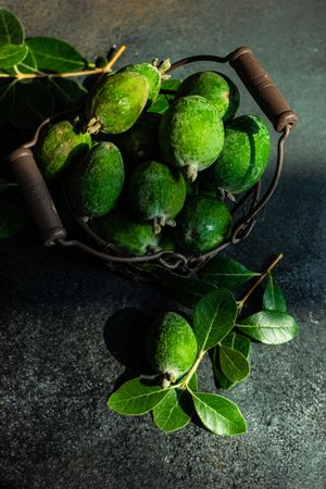 Bunch of fresh green feijoa fruit