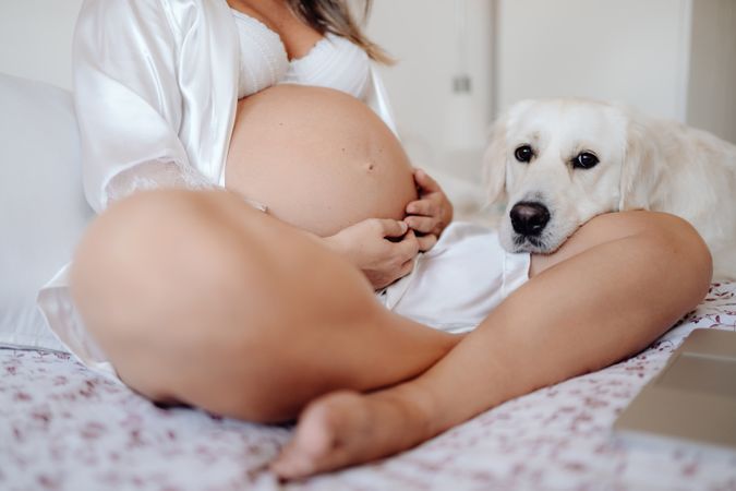 Cheerful pregnant woman using laptop and hugging dog
