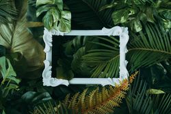 Creative layout made of tropical leaves with picture frame