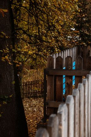 Blue wooden seat and fence with autumn leafage