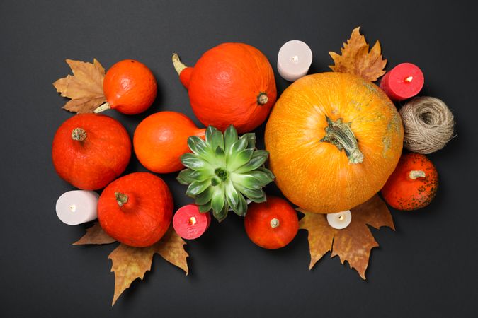 Composition with pumpkins, leaves and succulent on dark background, copy space
