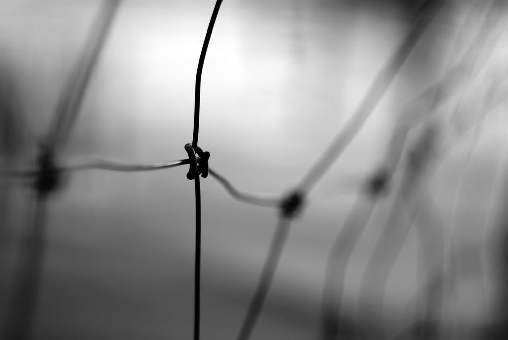 Tense barbed wire