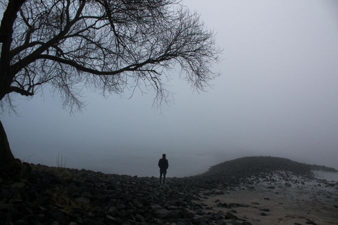 Silhouette of a man standing beside tree on a waterside in Germany