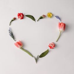 Heart shape spring flowers and leaves