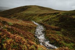 Mountain creek running through autumn hills