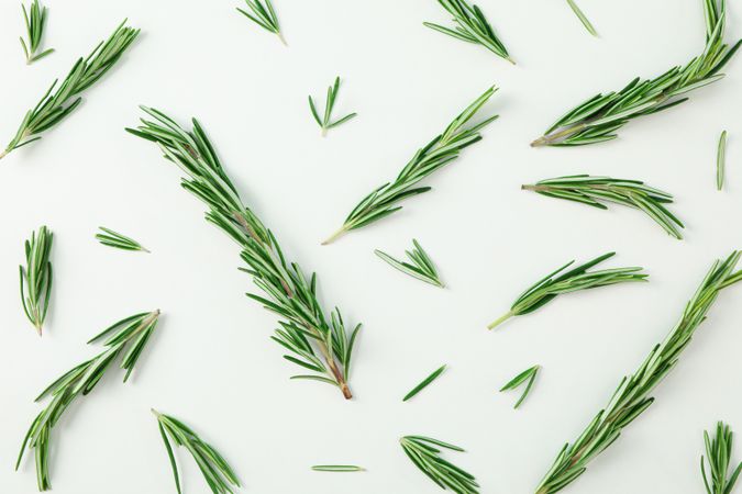 Flat lay composition with rosemary on neutral background, closeup