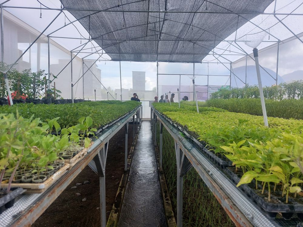 Greenhouse - The Modern Agriculture