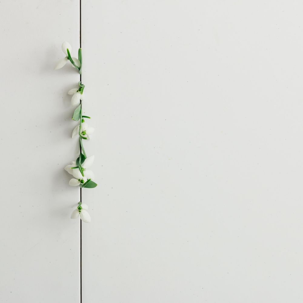 Line of snowdrop flowers on bright background