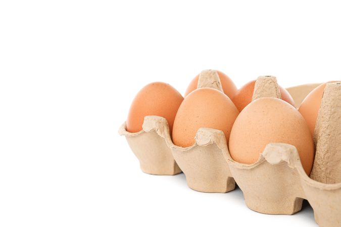 Brown chicken eggs in carton box isolated on plain background