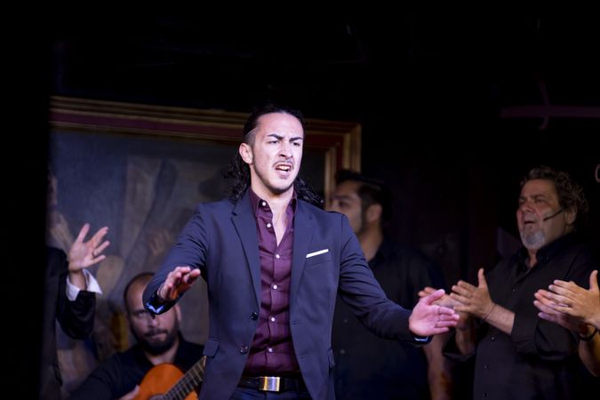 Flamenco performance on stage