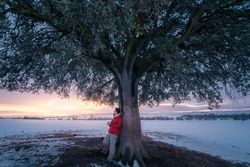 Man playing guitar under tree