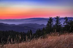 Colorful sunset over Northern Californian mountains with tall grass in foreground
