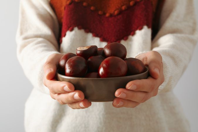 Fresh and ripe chestnuts, woman holds chestnuts in plate