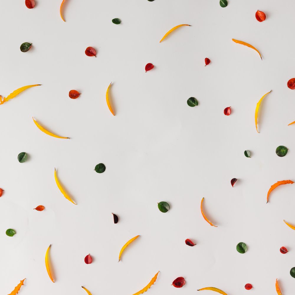 Bright colorful autumn pattern made of leaves