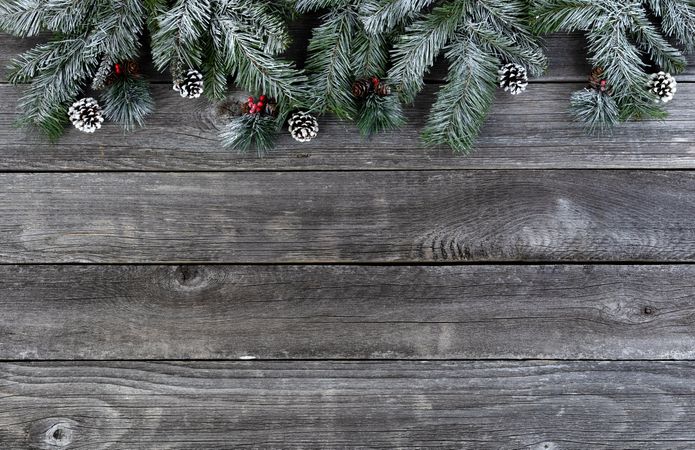Year end holiday concept with basic snow fir with pine cones and red berries