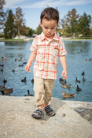 Young Biracial Boy At The Duck Pond.