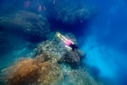 Anonymous man snorkeling in sea water