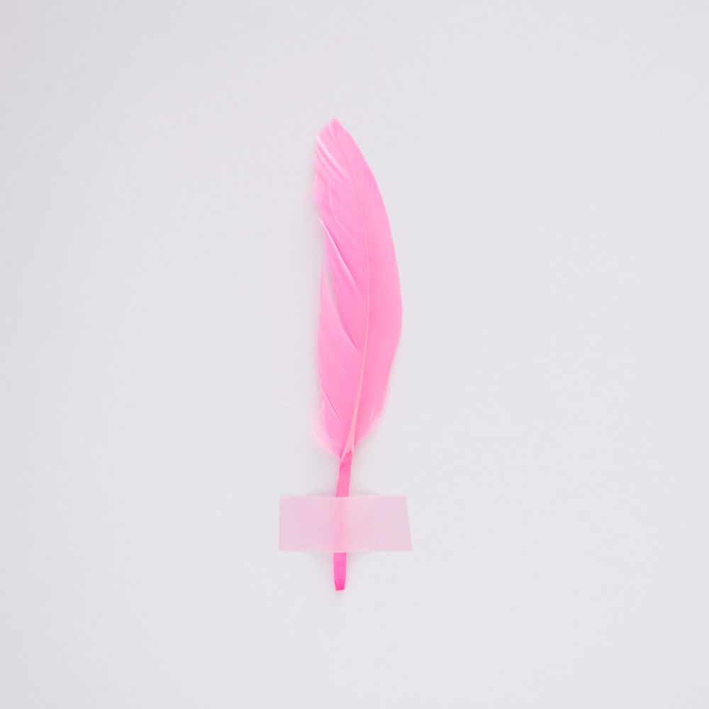 Single pink feather taped on wall