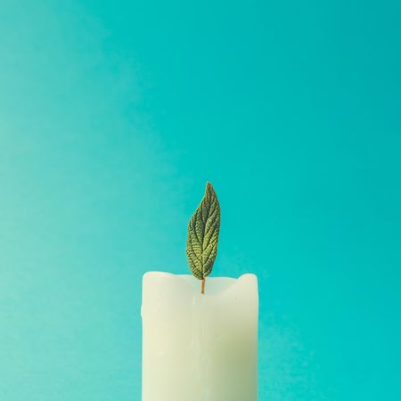 Candle with green leaf as flame