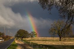Rainbow appearing after storm in tree-studded pasture QbDYV0