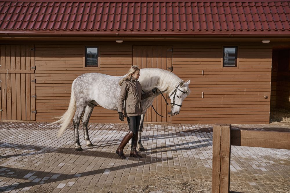 Warm dressed woman with gray horse outside