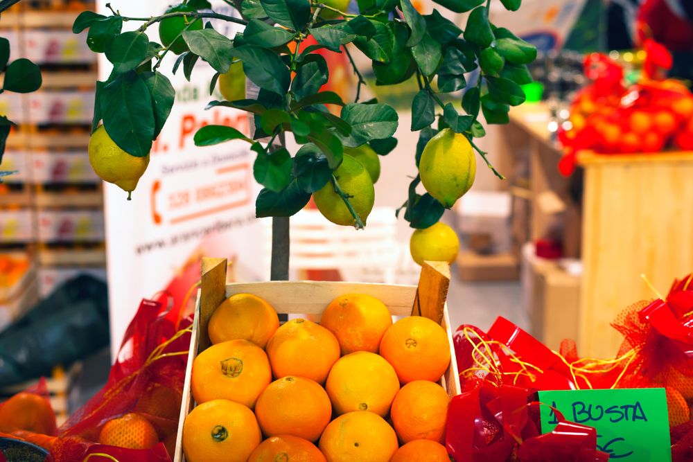 Orange in a crate beside lemon tree in market store