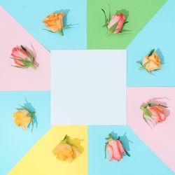 Abstract minimal background in pastel colors with colorful roses