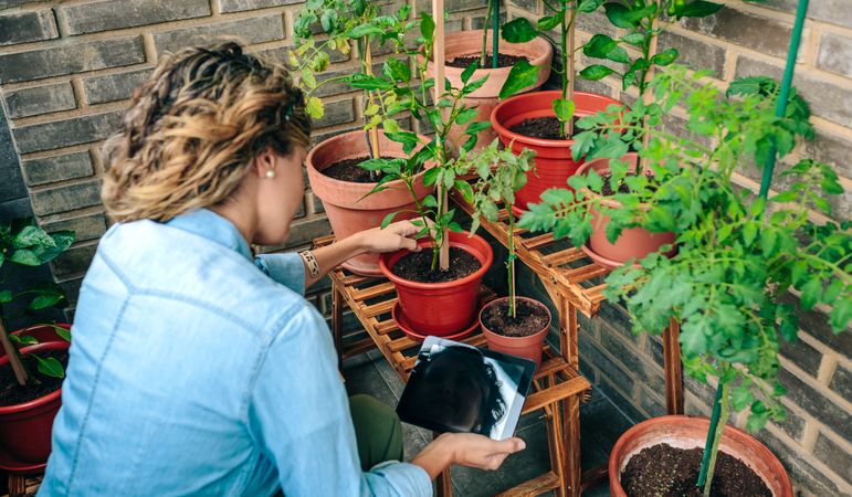 Woman using digital tablet while caring plants of urban garden on terrace