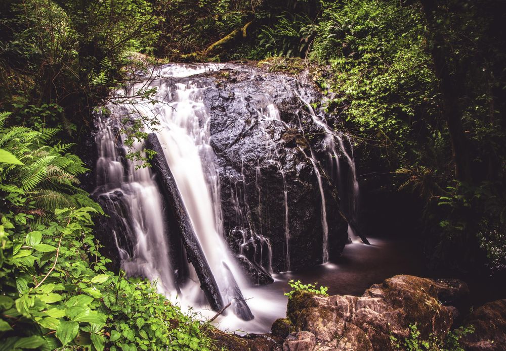 Fresh waterfall lit by sunshine