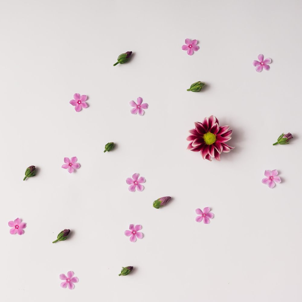 Pink flowers and buds pattern on light background