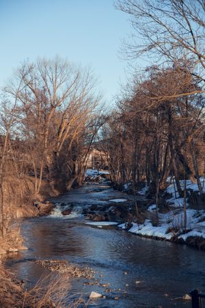 River running between forest in winter