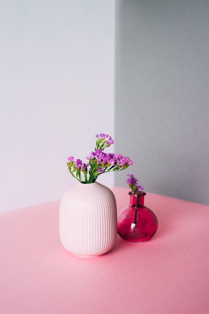 Violet sea lavender flowers in a multicolor background