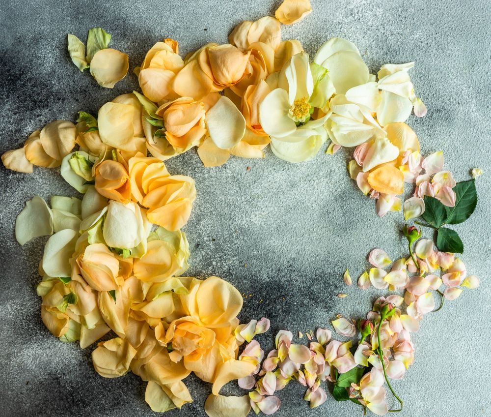 Beautiful floral card concept with fresh rose petals