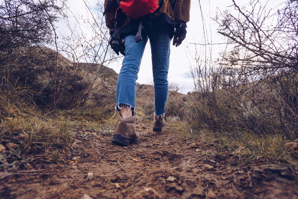 Hiker with backpack walking along pathway in autumn forest