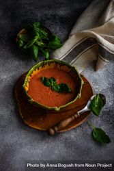 Traditional tomato soup in green bowl on grey counter 0KMmDD