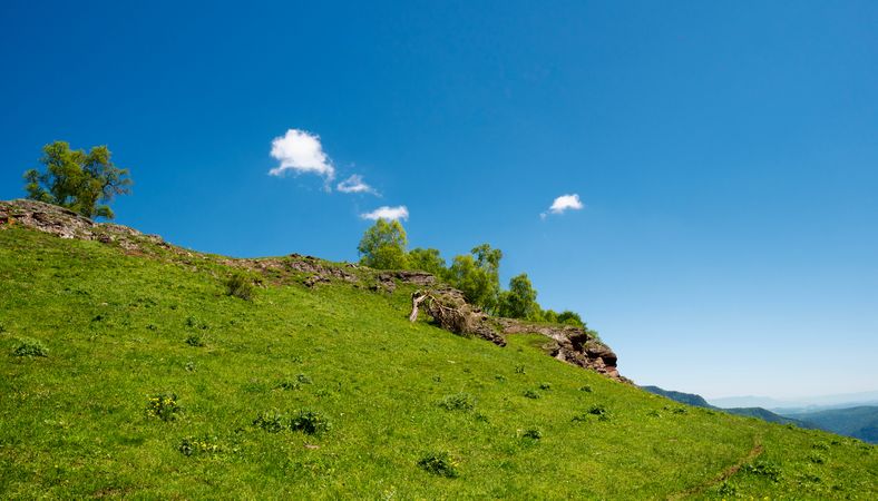 Hillside under clear blue sky with trees and rocks.