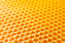 Honeycombs with sweet golden honey on whole background, close up